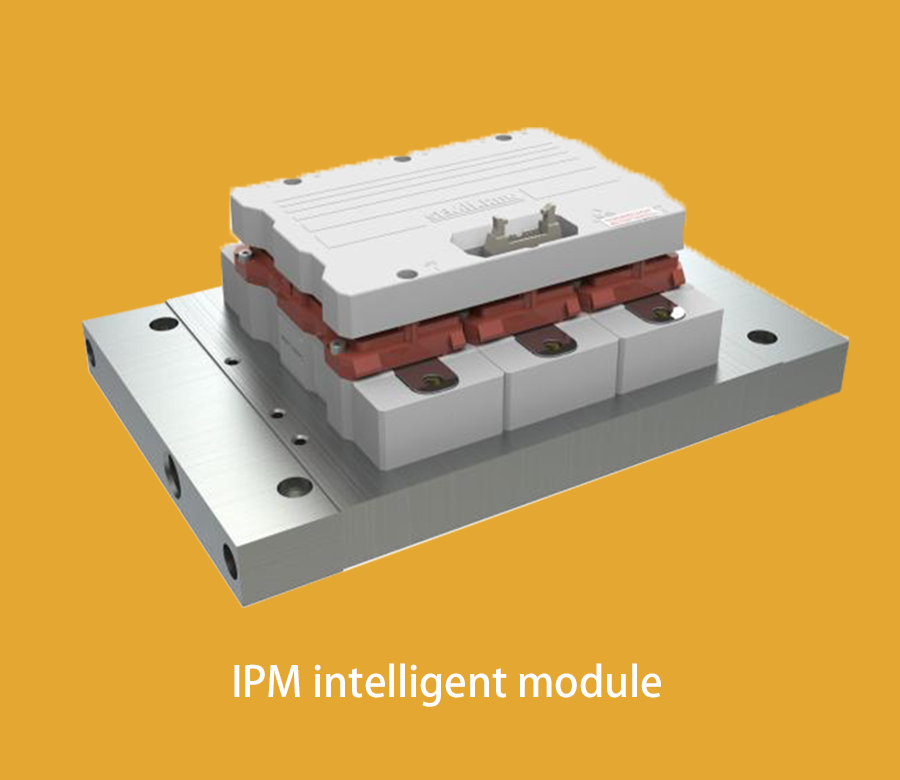 IPM intelligent module